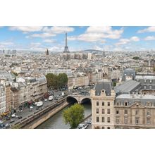 Panoramic View of Paris From the Notre Dame Cathedral Wall Mural