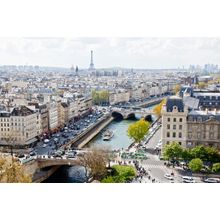 Paris Skyline From The Top of The Notre Dame Cathedral Wall Mural