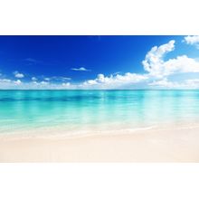 Calm Coast Wall Mural