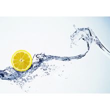 Lemon Splash Wall Mural