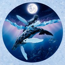 Humpback Lullaby Wall Mural