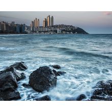 Busan Shore Wall Mural
