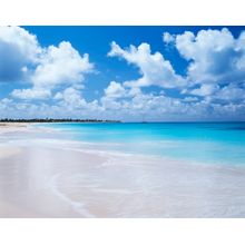 Coco Point Beach, Barbuda III Wall Mural