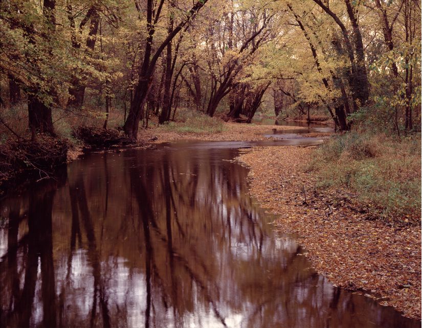 Cannon-River-Mural-Wallpaper