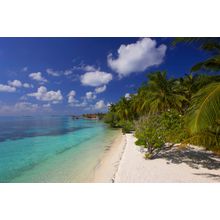 Shallow Lagoon, Maldives Wall Mural