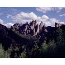 Cathedral Spires Wall Mural