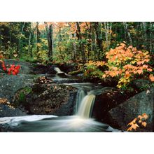 Waterfall Wall Mural