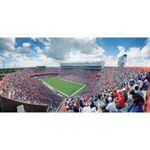 Florida Vs. Mississippi Wall Mural
