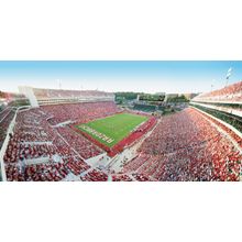 Arkansas Razorbacks Football Wall Mural