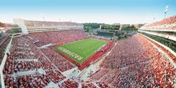 Arkansas-Razorbacks-Football-Wall-Mural