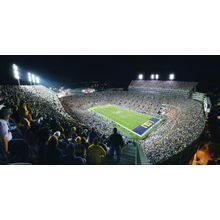 LSU Vs. Auburn Football Wall Mural