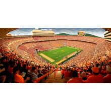 Tennessee Vs. Georgia Wall Mural