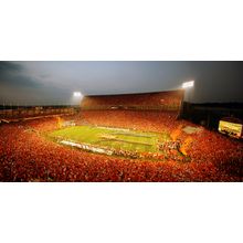Clemson Vs. FSU - Bowden Bowl 3 Wall Mural