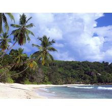 Gentle Surf On Anse Takamaka, Seychelles Wall Mural