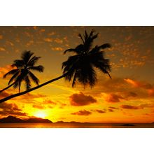Anse Severe, Seychelles Wall Mural