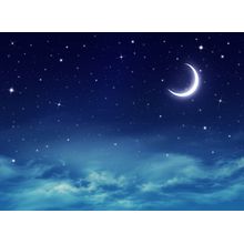 Wishing On The Moon Wall Mural