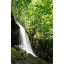 Waterfall In Thailand Wall Mural