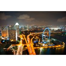 Nighttime Singapore Wall Mural