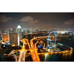Nighttime Singapore Wall Mural