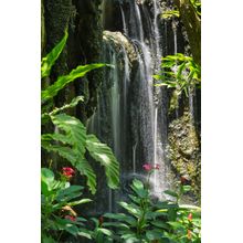 Beautiful Waterfall Wall Mural