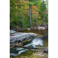 River Passage Wall Mural