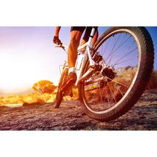 Cyclist Riding Mountain Bike Wall Mural