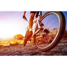 Cyclist Riding Mountain Bike Wallpaper Mural