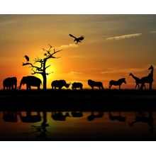 Safari Sunset Mural Wallpaper