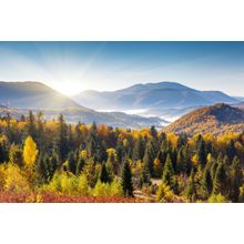 Mountain Morning Wall Mural