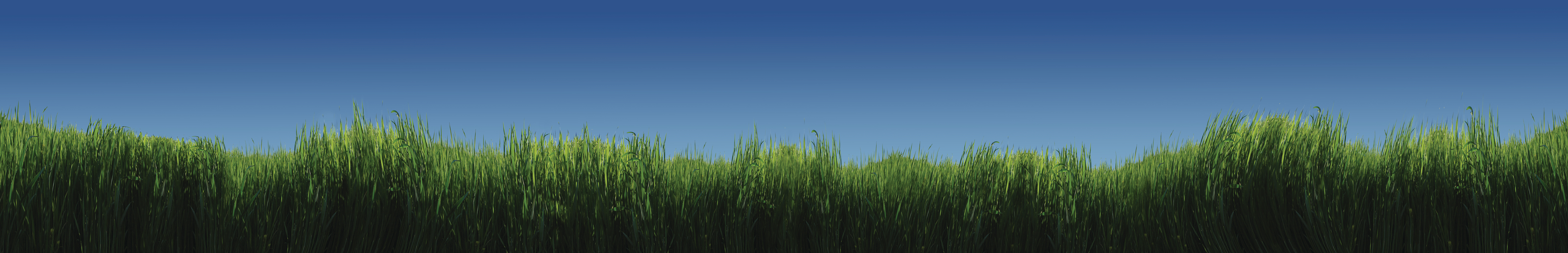 Melba Grass Mural Art Hale Murals Your Way