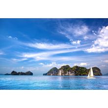 Sailboat On The Ocean Wall Mural