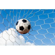 Blue Sky Score Wall Mural