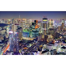 Tokyo Cityscape Wall Mural