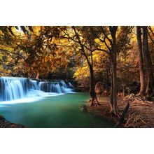 Autumn Deep Forest Waterfall Wall Mural