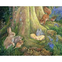 Woodland Wonder Wall Mural