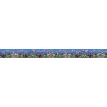 Wonders Of The Sea - Panoramic Wall Mural