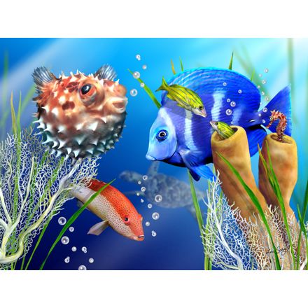 coral reef fish wallpaper