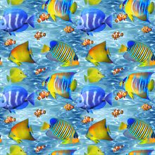 Tropical Fish Parade Wallpaper
