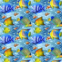 Tropical Fish Parade Wallpaper