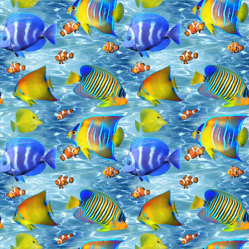 Fun Fish Wallpaper