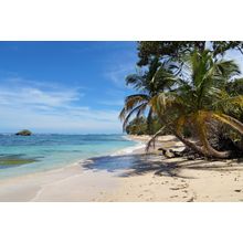 Tropical Wild Sandy Beach With An Islet, Coconut Trees And Turquoise Waters Wall Mural