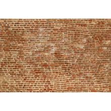 Brick  Mural Wallpaper