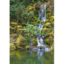 Moss Covered Waterfall Wall Mural