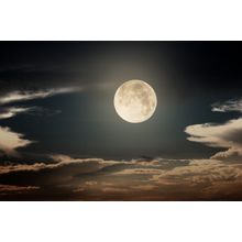 Moon Night Wall Mural