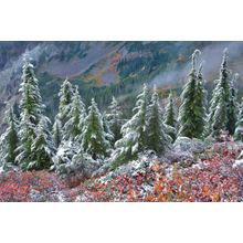 First Snow Mount Baker Wilderness Wall Mural