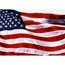 American Flag Wall Mural