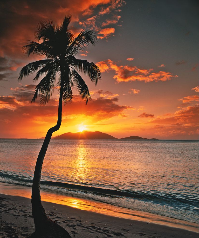 wonderful-background-of-a-caribbean-sunset-with-a-palm-tree