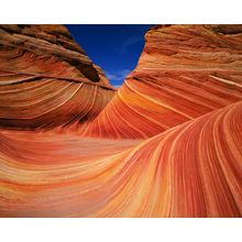 The Wave, Paria Wilderness Wall Mural