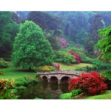 Veiled Garden Wall Mural