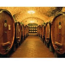 Vignamaggio Cellar Wall Mural